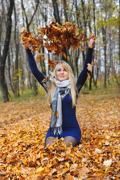 Beautiful happy woman playing with autumn leaves in forest Stock Image