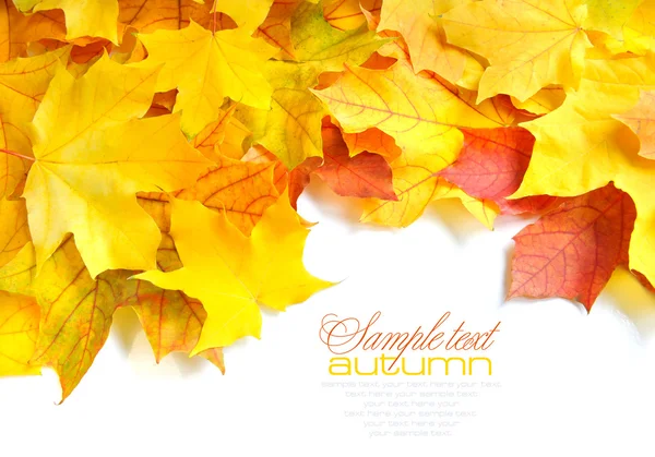 Border frame of colorful autumn leaves isolated on white — Stock Photo, Image