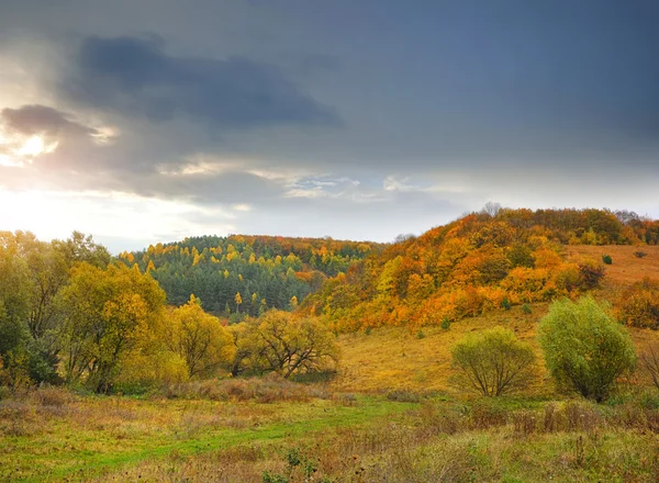 Herbstabend mit buntem Wald — Stockfoto