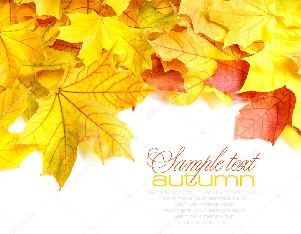 Border frame of colorful autumn leaves isolated on white