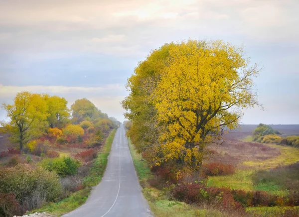 Paisagem de outono é com uma estrada — Fotografia de Stock