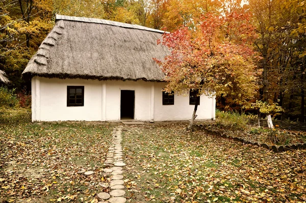 古老的小屋屋顶在秋天的树林是稻草。乌克兰生活与建筑博物馆 — 图库照片