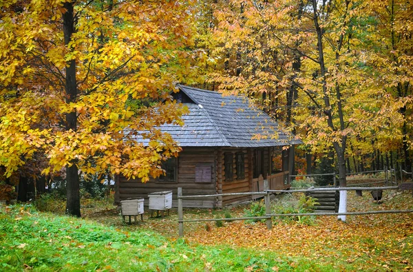 Stará chata se slaměnou střechou v podzimním lese. ukrajinské muzeum života a architektura — Stock fotografie