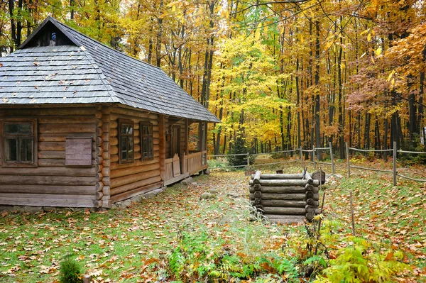 Oude hut met een stro dak in herfst bos. Oekraïense museum van het leven en het platform — Stockfoto