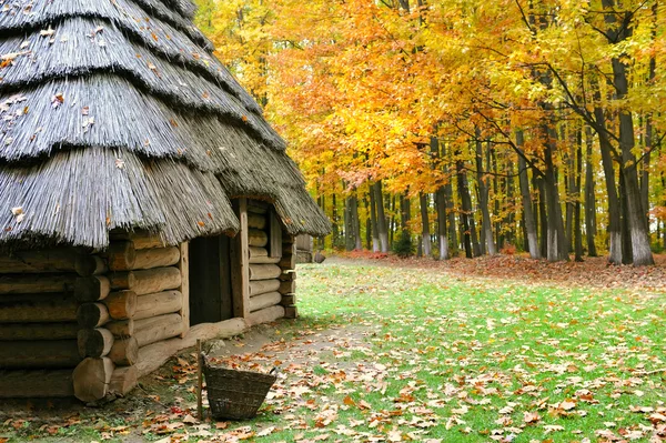 Ukrainian Museum of Life and Architecture. Ancient hut with a straw roof — Stock Photo, Image