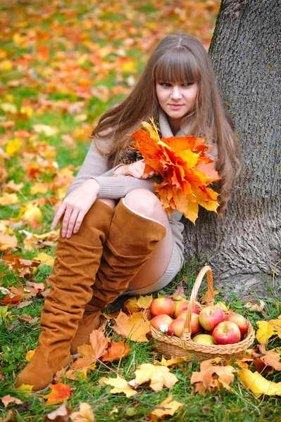Krásná dívka v podzimním parku — Stock fotografie