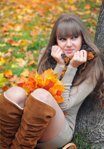 Hermosa chica en el parque de otoño —  Fotos de Stock