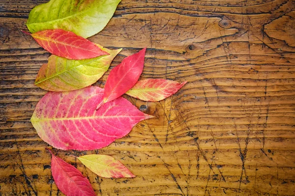 Podzimní listí přes dřevěné pozadí — Stock fotografie