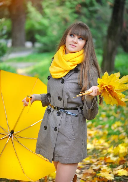 Schöne junge Frau ist in einem herbstlichen Park mit einem Regenschirm — Stockfoto