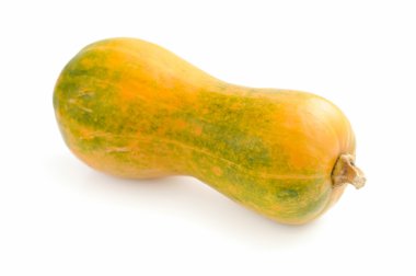 beyaz arkaplanda kabak