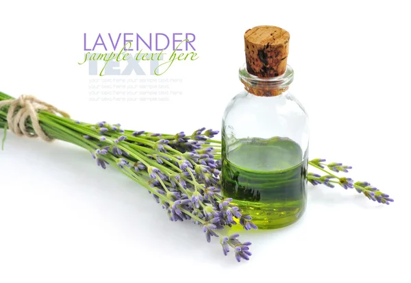 Aroma oil and lavender flowers — Stock Photo, Image