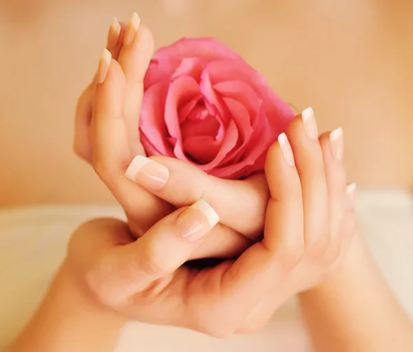 Imagem de close-up de manicure francês rosa com rosa — Fotografia de Stock