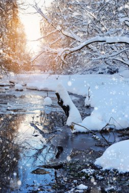 Kış manzara soğuk güneşli gün nehre ile