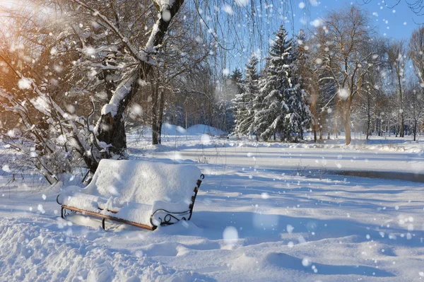 在积雪覆盖的公园长椅 — 图库照片