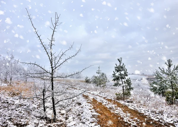 Beautiful landscape with first snow — Stock Photo, Image