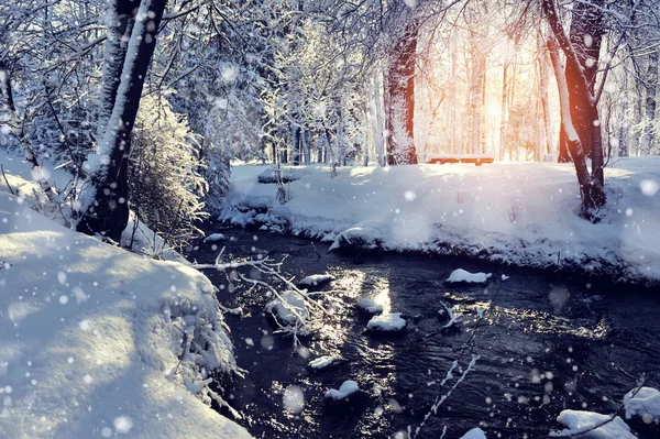 Vakkert vinterlandskap med elven – stockfoto