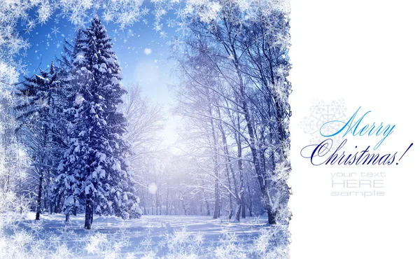 Cartão postal com bela paisagem de inverno — Fotografia de Stock