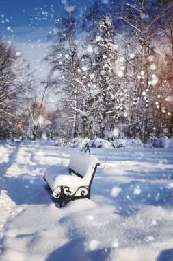 karla kaplı park Bench