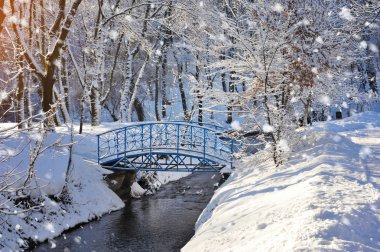 güzel kış manzara nehir ile
