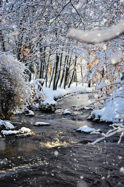 Zimowy krajobraz z rzeką w mroźny dzień słoneczny — Zdjęcie stockowe