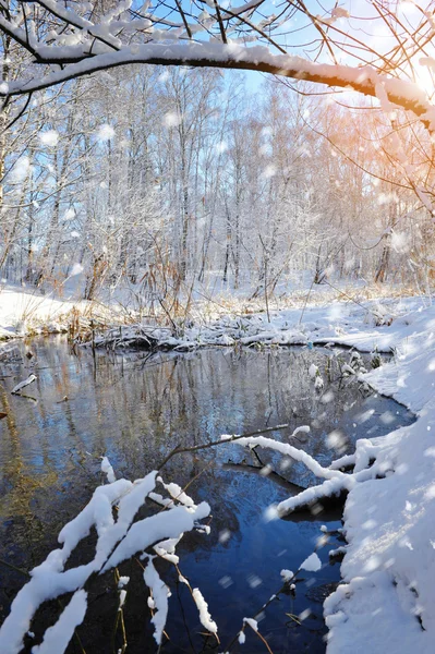 Hermoso paisaje de invierno con el río —  Fotos de Stock