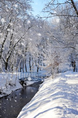 güzel kış manzara nehir ile