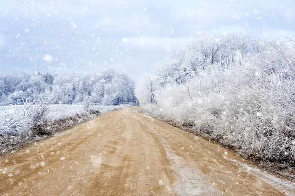 Paisagem de inverno com a estrada a floresta — Fotografia de Stock