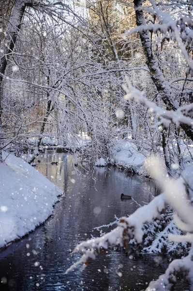 Güzel kış manzara nehir ile — Stok fotoğraf