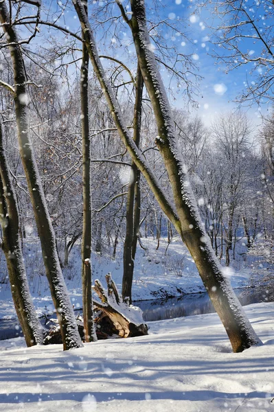 Piękny zimowy krajobraz w słoneczny dzień mroźny — Zdjęcie stockowe