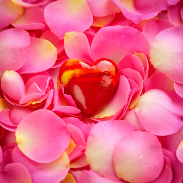 Декоративне серце на рожевих пелюстках троянд, романтичний фон — стокове фото