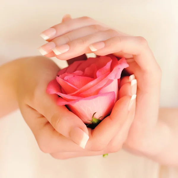 Closeup image of pink french manicure with rose