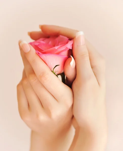 Detailní obrázek růžové francouzské manikúry s růží — Stock fotografie
