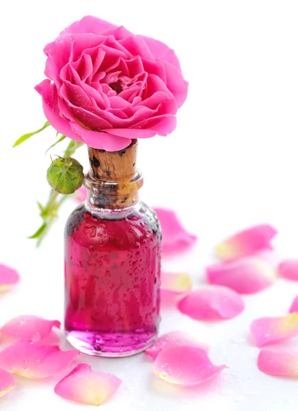 Bouteille d'huile essentielle et rose rose isolée sur blanc — Photo