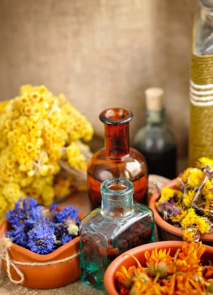 Healing herbs and tinctures in bottles on sackcloth, dried flowers, herbal medicine — Stock Photo, Image