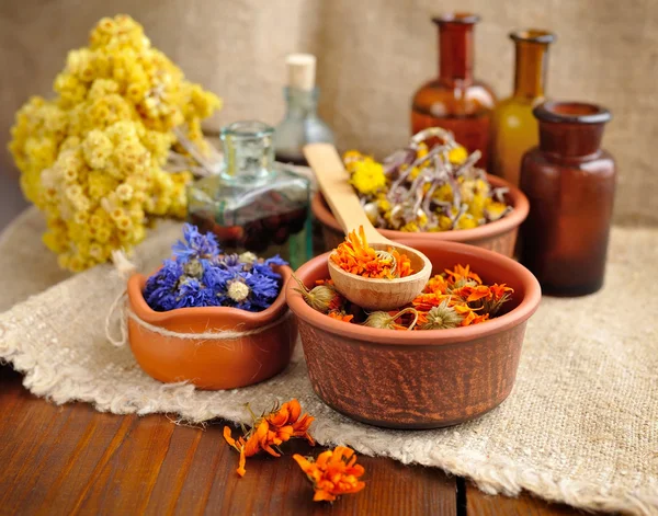 Healing kruiden en tincturen in flessen op zak, gedroogde bloemen, kruiden geneeskunde — Stockfoto
