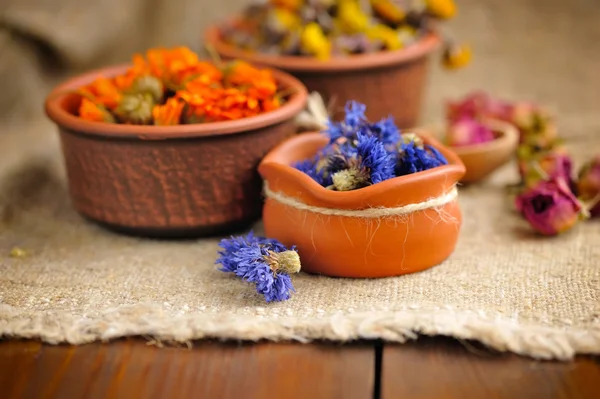 Helande örter på säckväv, torkade blommor, örtmedicin — Stockfoto