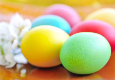 Renkli Paskalya yumurta beyaz çiçekli