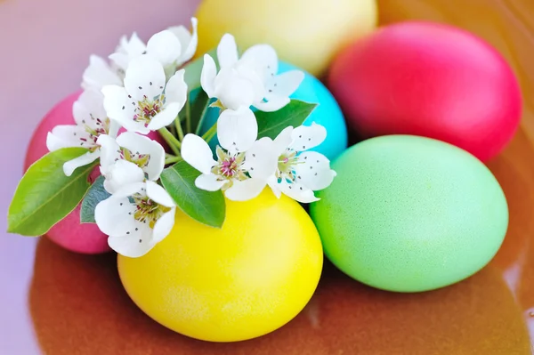 Ovos de páscoa coloridos com flores brancas — Fotografia de Stock