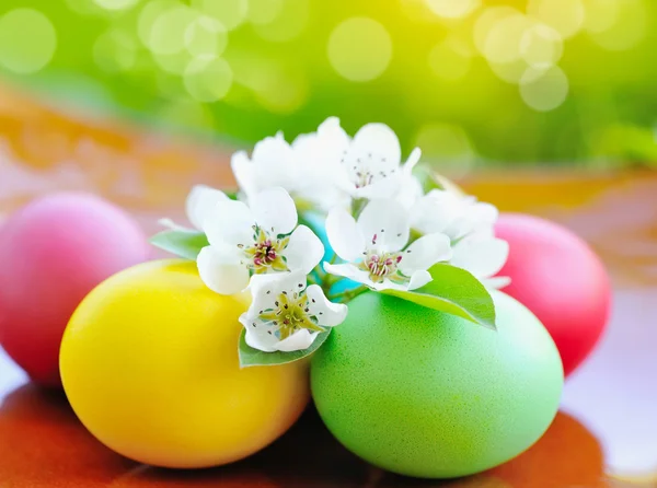 Huevos de Pascua de colores con flores blancas — Foto de Stock