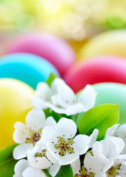 Gekleurde Pasen eieren met witte bloemen — Stockfoto