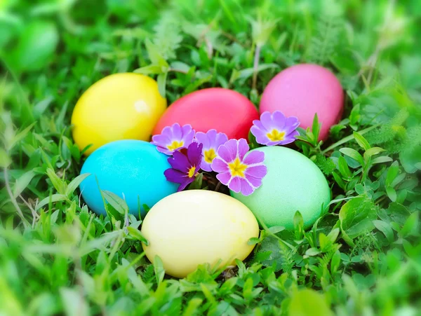 Oeufs de Pâques colorés sur herbe verte — Photo