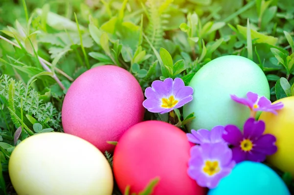 Ovos de Páscoa coloridos na grama verde — Fotografia de Stock