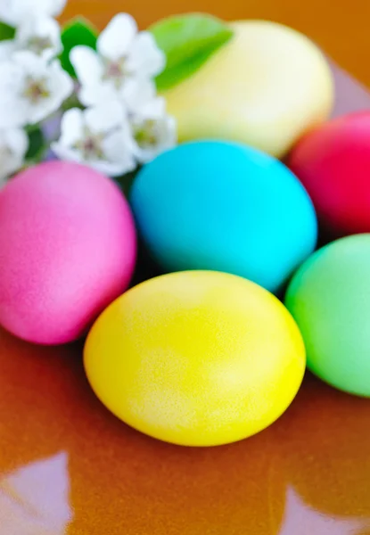 Ovos de páscoa coloridos com flores brancas — Fotografia de Stock