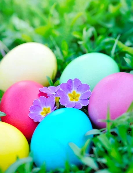 Huevos de Pascua de color con onagra sobre hierba verde — Foto de Stock