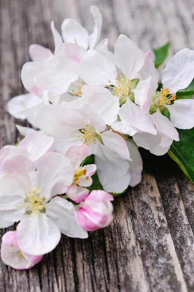 Fioritura di mele su un vecchio sfondo di legno — Foto Stock