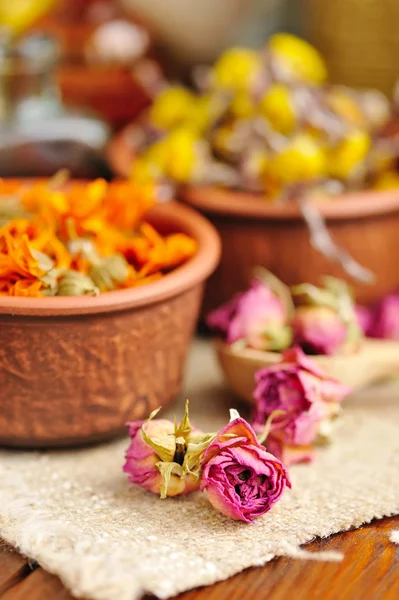 Dried flowers rose, herbal medicine — Stock Photo, Image