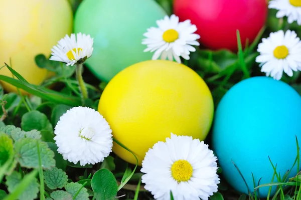 Oeufs de Pâques colorés sur herbe verte — Photo