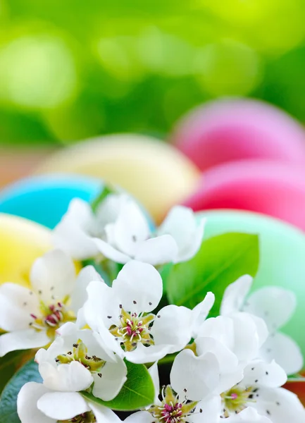 Gekleurde Pasen eieren met witte bloemen — Stockfoto