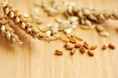 Buğday ahşap panosunda kulakları