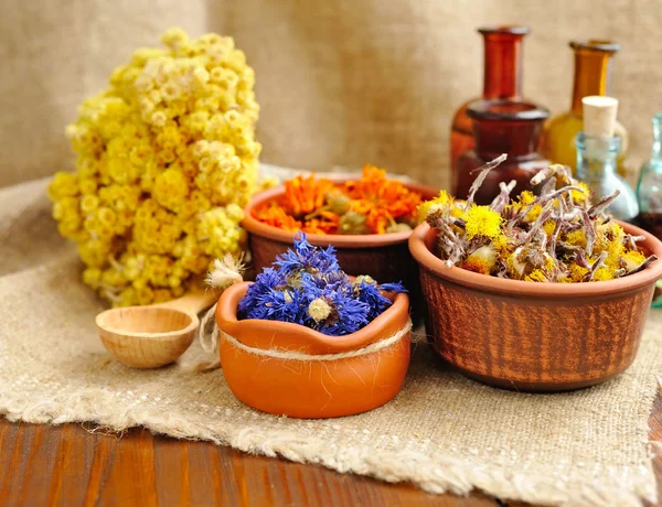 Heilkräuter und Tinkturen in Flaschen auf Sacktuch, getrockneten Blumen, Kräutermedizin — Stockfoto